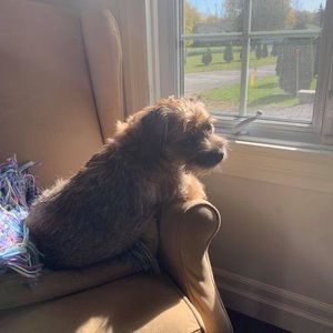 Meet your Posher, Sue